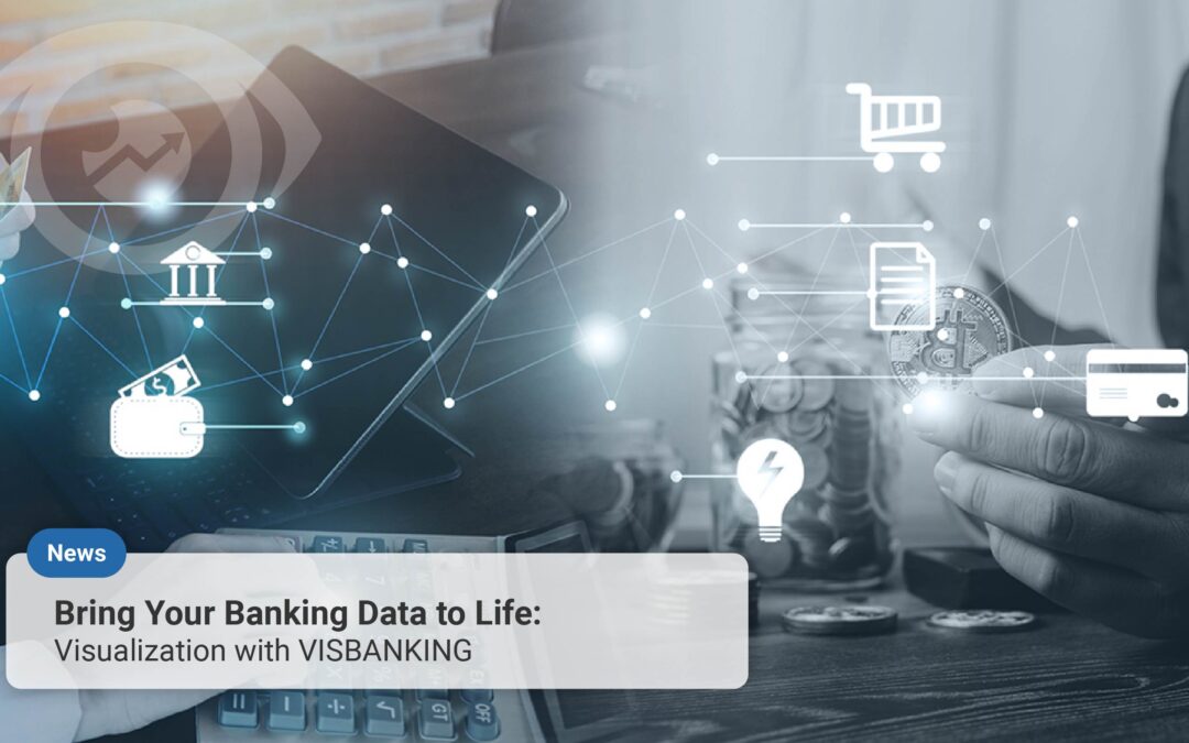 Bring Your Banking Data to Life: Visualization with VISBANKING